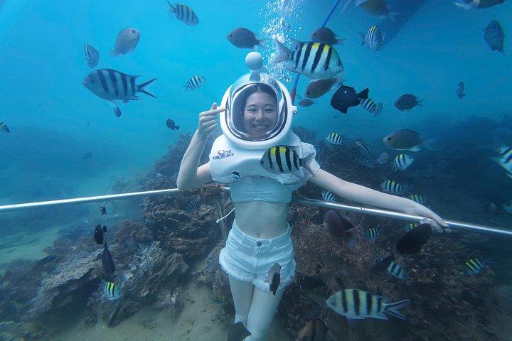 水中ウォーキングエクスカーションでホイアンからの終日チャム諸島クルーズ