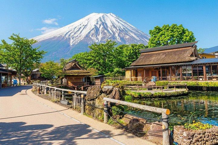 東京からの場合： 富士山観光1日ツアー