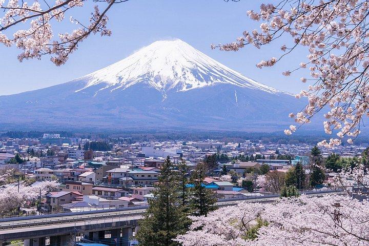 東京発富士山全日観光ツアー