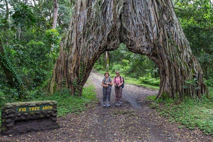 Arusha National Park Full Day Safari