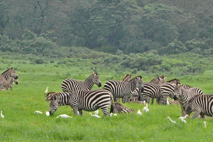 Hoteller i nærheden af Arusha National Park