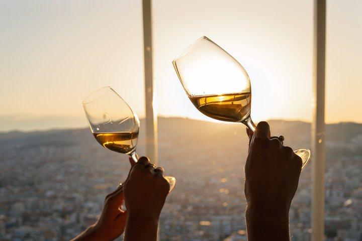Admission to Torre Glories Barcelona Viewpoint with Wine Tasting
