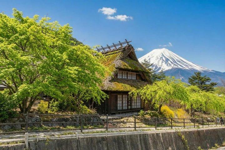 Tokyo: Visite guidée d'une journée du Mont Fuji