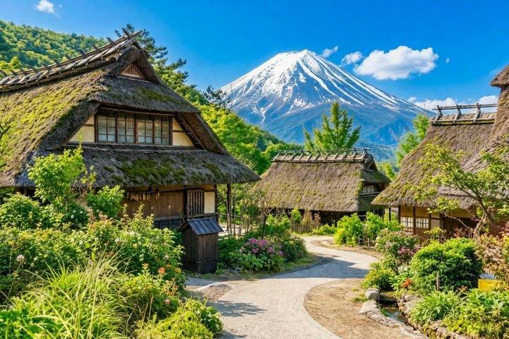 Tokyo: Visite guidée d'une journée du Mont Fuji