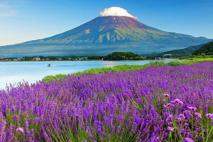 東京: 富士山必見観光スポット日帰り観光ツアー