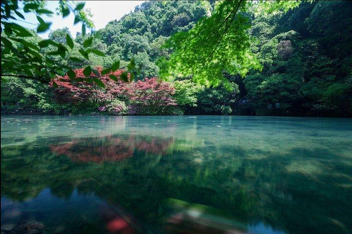 世界首脳が上海から杭州G20特別体験