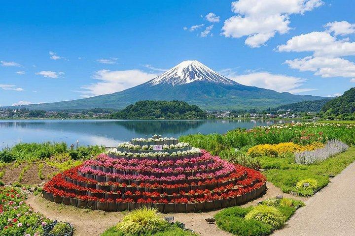 東京からの場合： 富士山観光1日ツアー