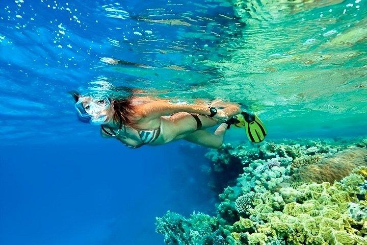 ポートガリブマリーナでのシュノーケリング旅行マルサアラムから