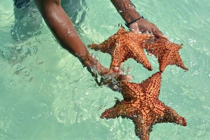 Saona Island Tour de um dia inteiro saindo de Punta Cana com almoço