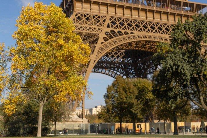 パリで味わう贅沢なフランス風ピクニック体験