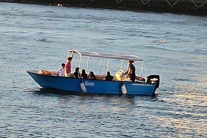 Porto : Douro River Bådtur under de 6 broer