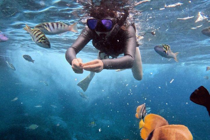 Nusa Penida snorkeltur med Vejleder