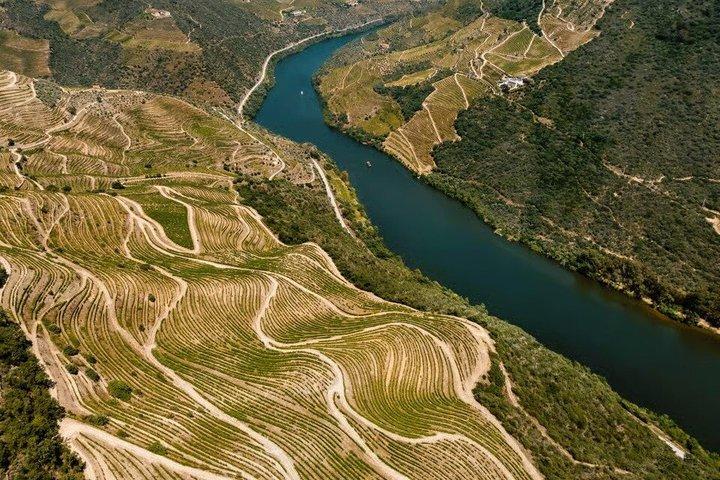 Crucero de 3H Pinhão a Régua Duero con vino y tapas