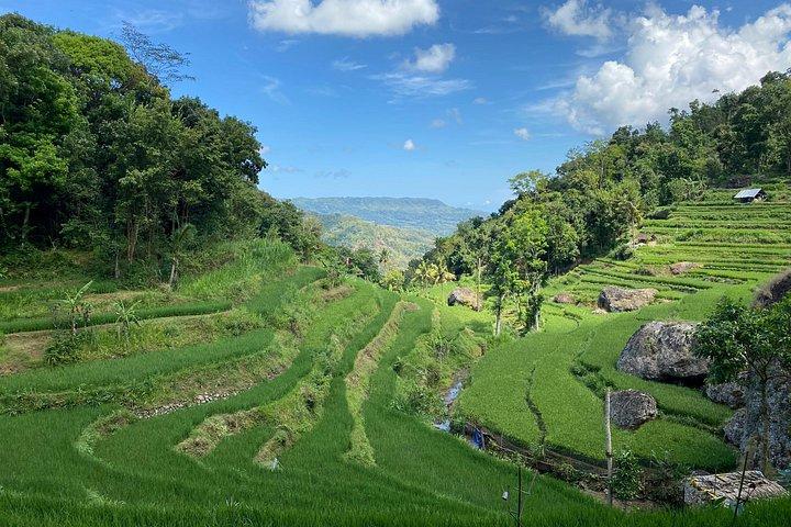 Private Car & Driver in Yogyakarta – Flexible, Customized Tours