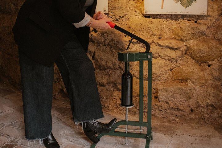 White Wine Creation Workshop and Wine Museum Tour