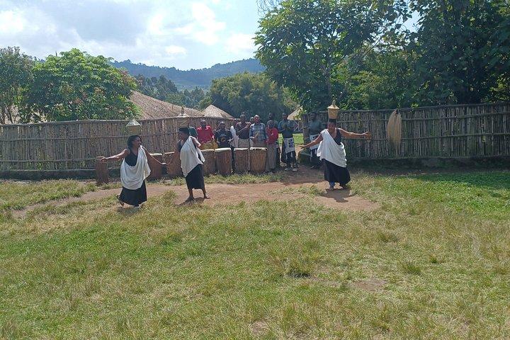 Akagera 2 Day Big Five Safari and Community Visit