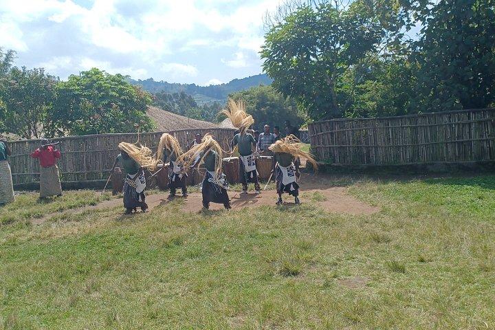 Akagera 2 Day Big Five Safari and Community Visit