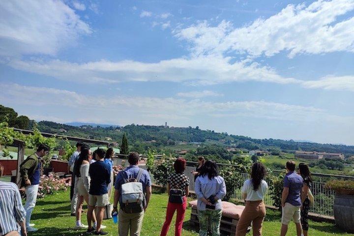 ソムリエ同行で巡る、ルッカの魅惑的な丘陵地帯のプライベートワインツアー