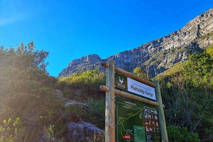 Guided Hike Up Table Mountain via Platteklip Gorge