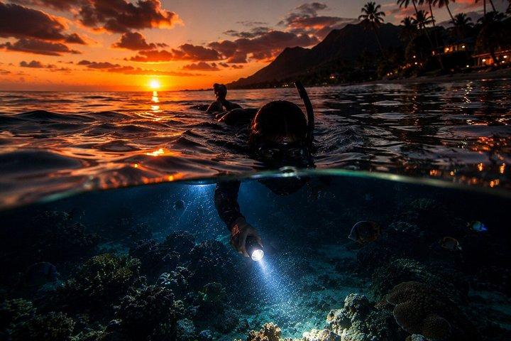 Turtle Town After Dark : Snorkeling con luci e stelle