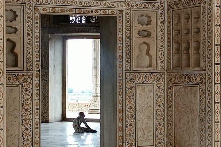 アグラ遺産の散歩-インド休暇によって