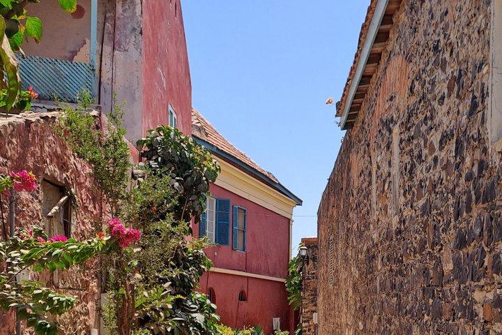 Privat udflugt: Dakar byrundtur og Gorée Island