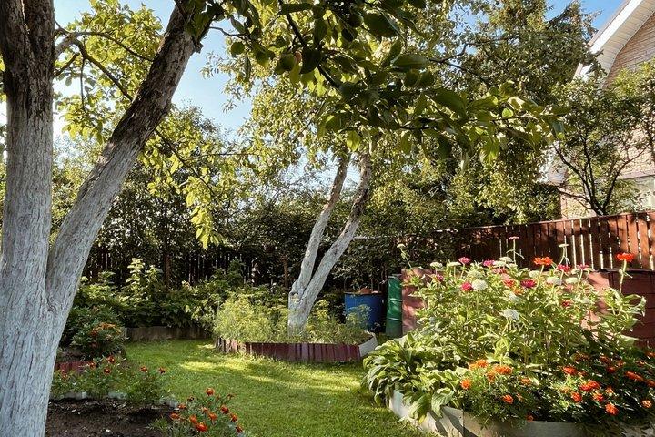 Abuelas Haus : Ein authentisches Kulturerlebnis