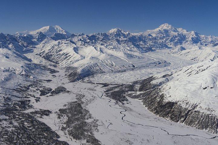 Denali Experience Flightseeing Tour from Talkeetna