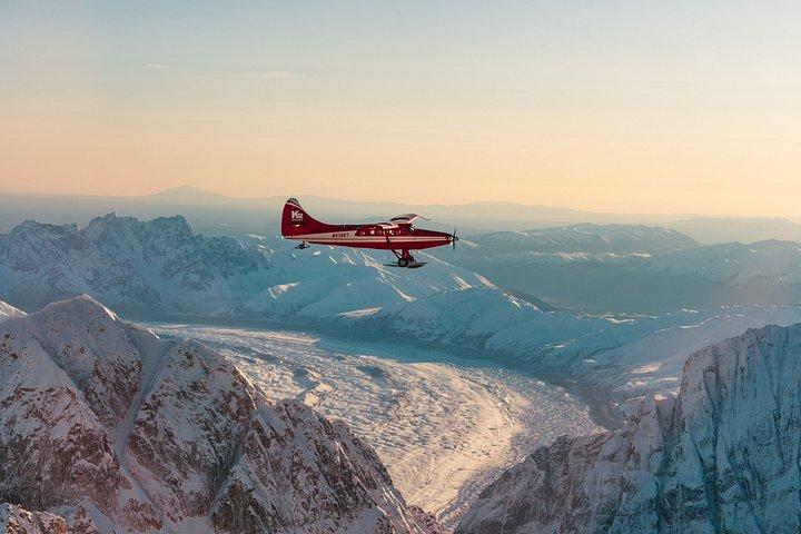 Denali Experience Flightseeing Tour from Talkeetna