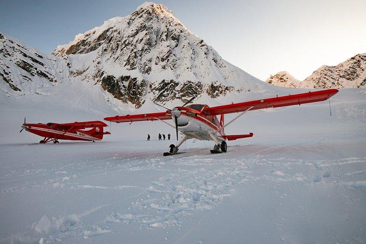 Denali Experience Flightseeing Tour from Talkeetna