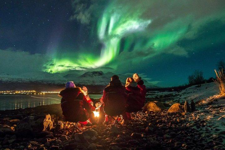 Tromsø: Se Aurora | 98% Succesrate | Full Arctic Gear