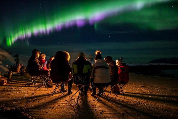 Tromsø: Se Aurora | 98% Succesrate | Full Arctic Gear