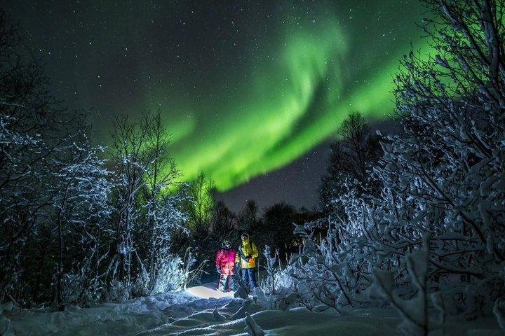 Tromsø : Petit Groupe | Chasse aux Aurores Boréales + Tout Compris