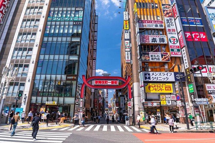 プロのスペイン語ガイドによる東京プライベートツアー