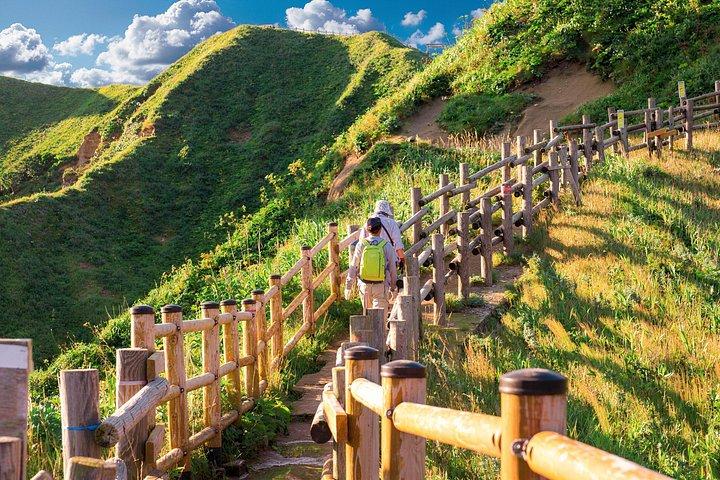 札幌発積丹ブルーと小樽1日ツアー