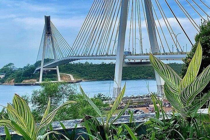 シンガポールからバタムへ：フェリーチケットとランチ付きシティツアー