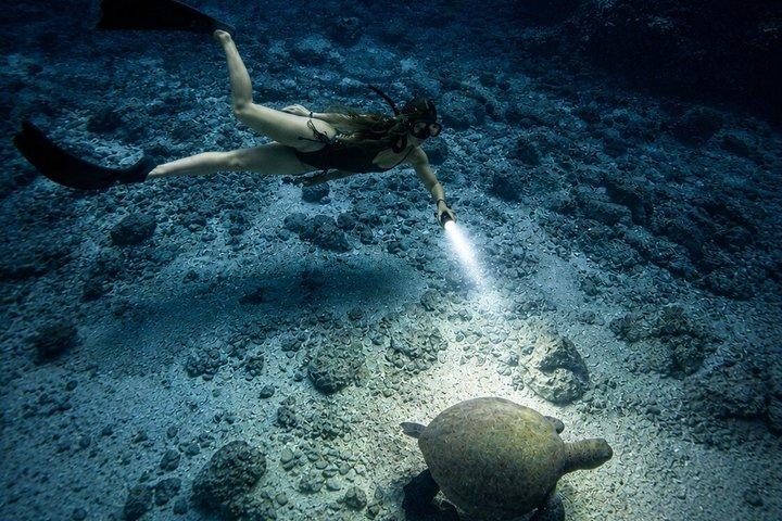 Turtle Town After Dark: Snorkel med lys og stjerner