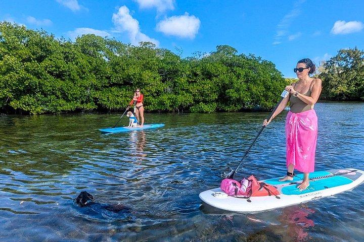 Kajak- oder Paddleboardverleih im Pelican Harbor