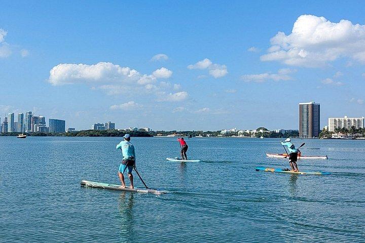 Kajak- oder Paddleboardverleih im Pelican Harbor