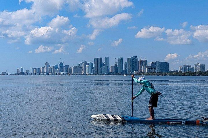 Kajak- oder Paddleboardverleih im Pelican Harbor