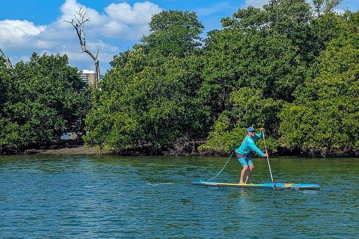 Kajak- oder Paddleboardverleih im Pelican Harbor