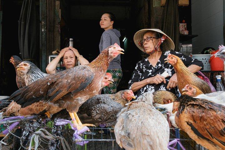 Excursão fotográfica privada ao nascer do sol - em Chinatown