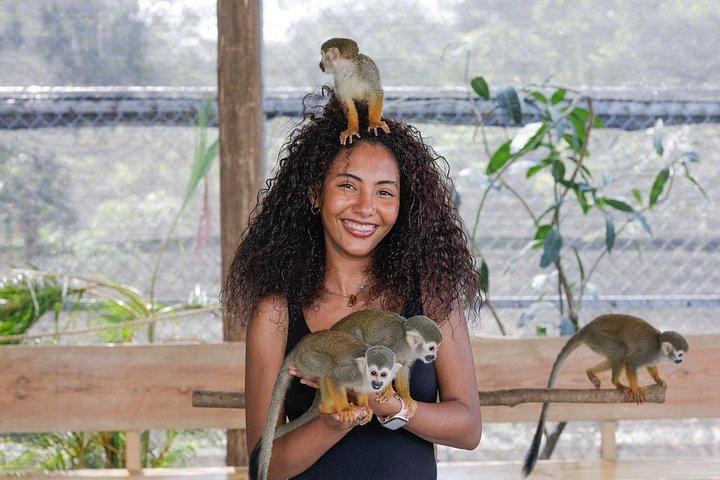 Puerto Plata: Monkeys & 7 Waterfalls Adventure