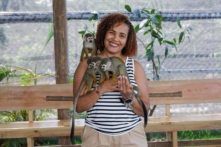 Puerto Plata: Monkeys & 7 Waterfalls Adventure