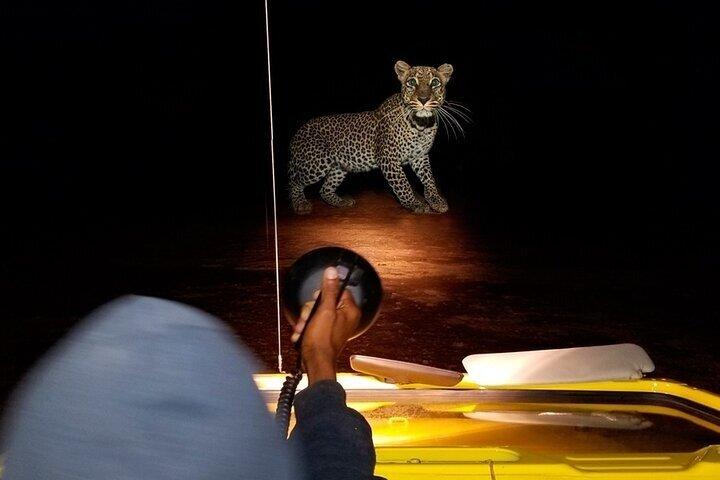 Nairobi City and Park Safari Adventure Tour