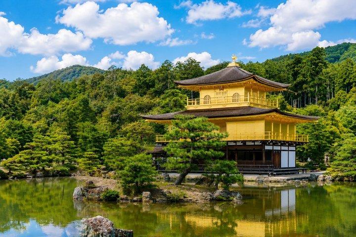 Da Osaka o Kyoto: Kyoto e Nara 1 - Tour in autobus di un giorno