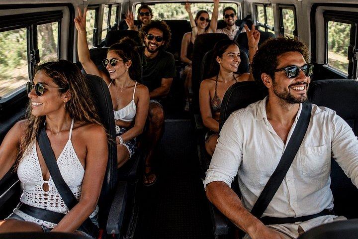 Mayan Temazcal & sacred cenote experience
