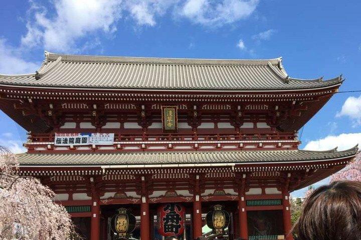 Tokyo endagstur (9 - timme)