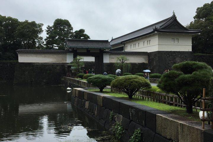 Tokyo endagstur (9 - timme)