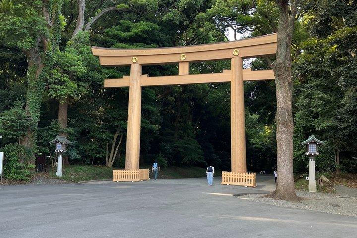 Tokyo endagstur (9 - timme)